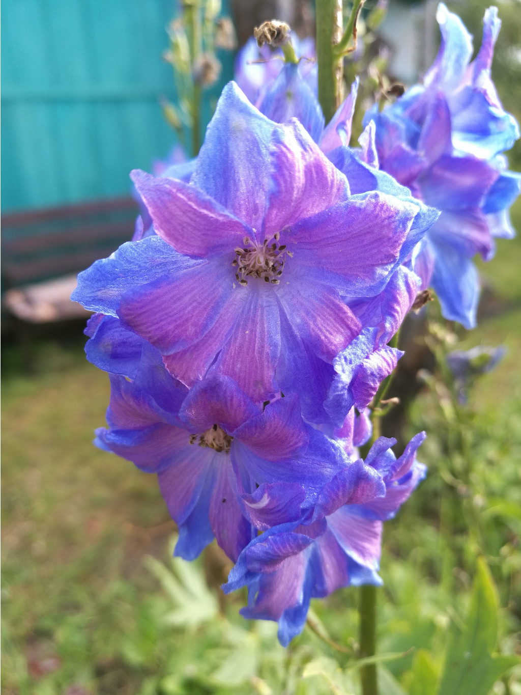 2017-08-04 17.20.44.jpg