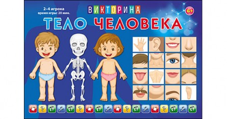 Рыжий кот Викторина для малышей Тело человека - 83.79 руб