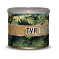Мини — Дерево В Банке Туя 100 руб