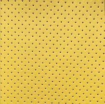 Holes Yellow.jpg