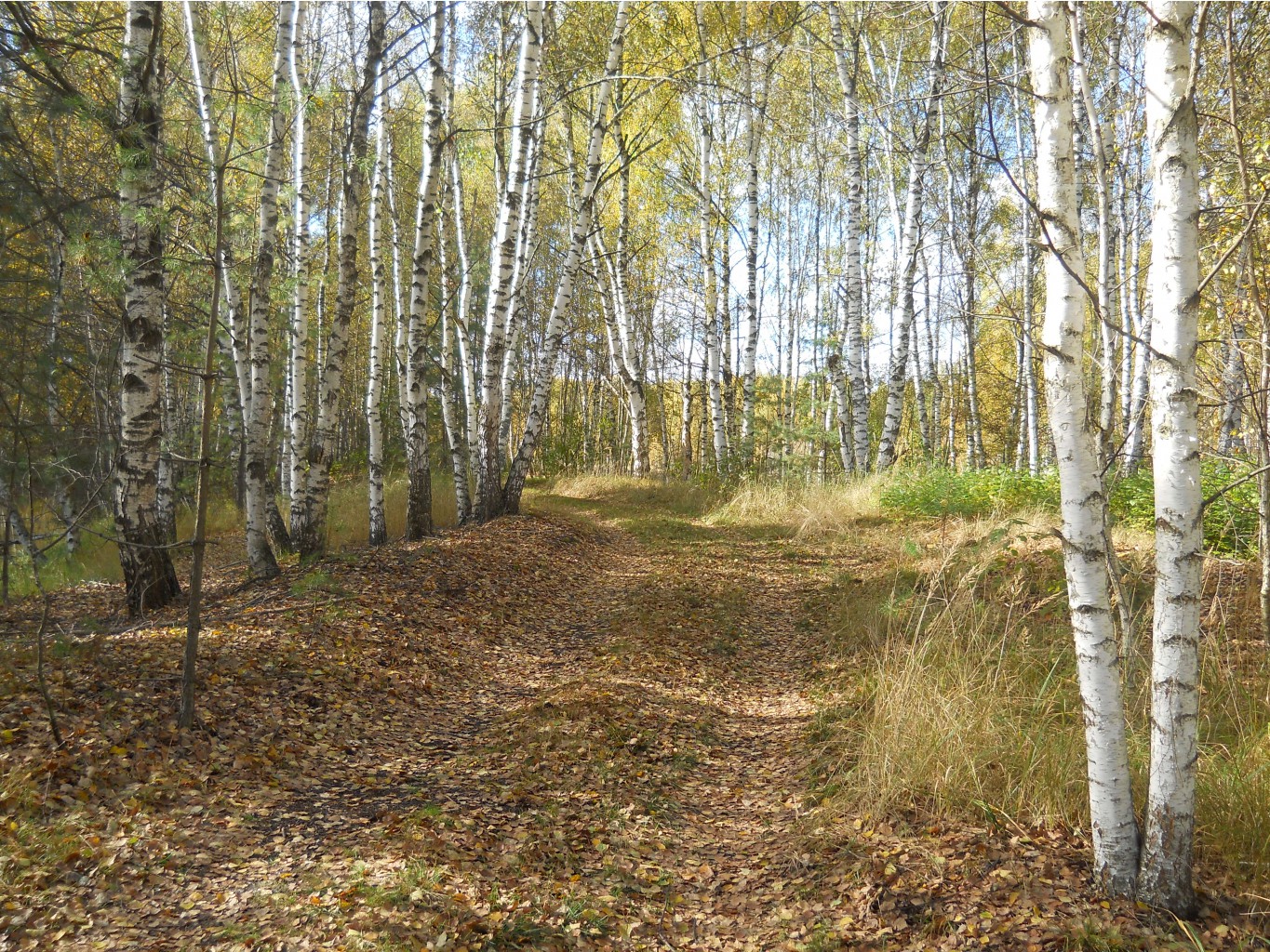 DSCN4474.JPG