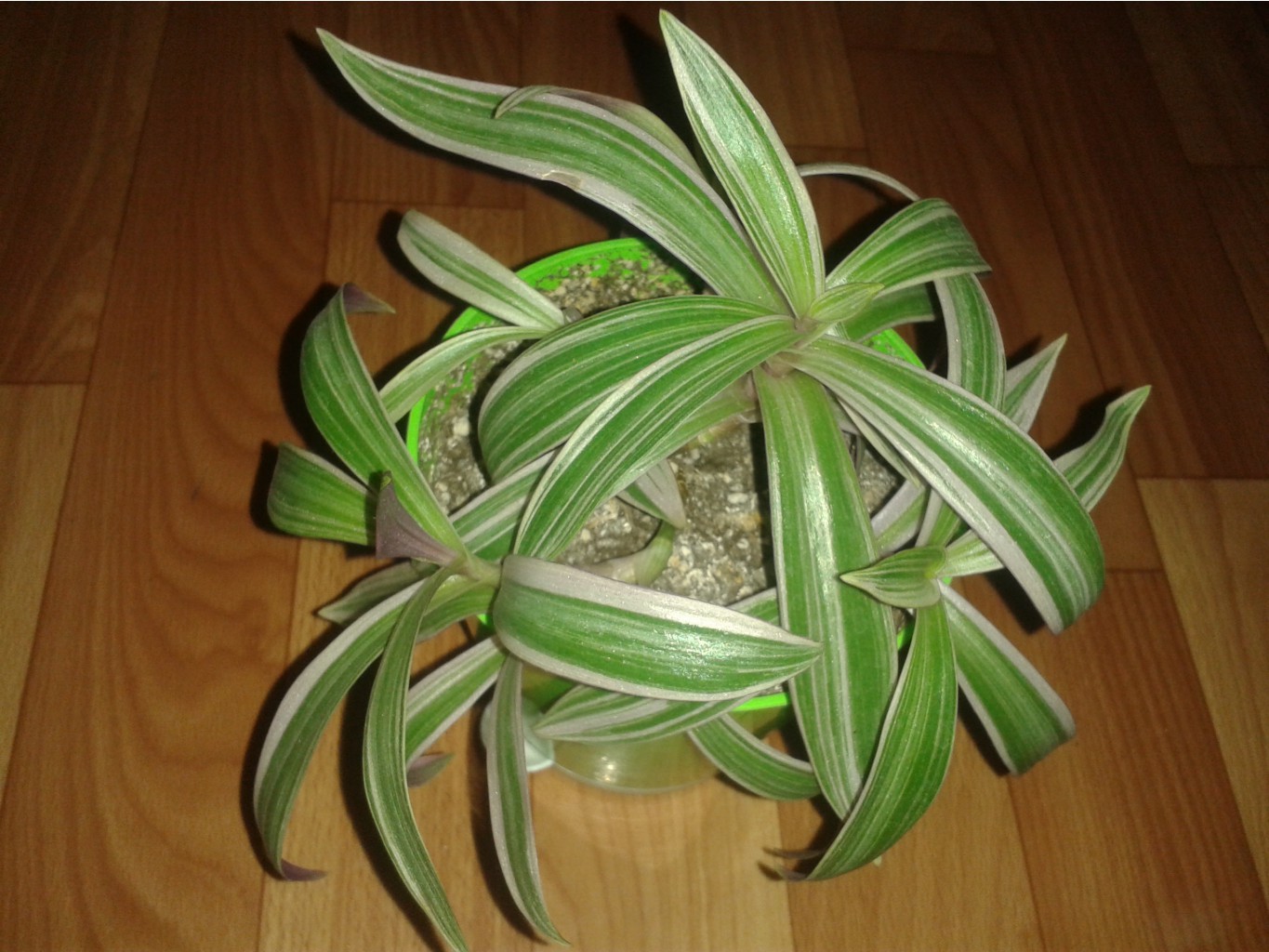 2017-09-21 16-22-38.JPG