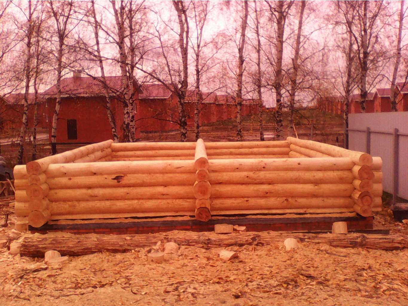 IMG 20171020 125411.jpg