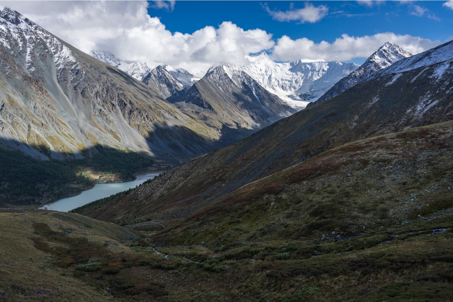 DSC05629-2.jpg