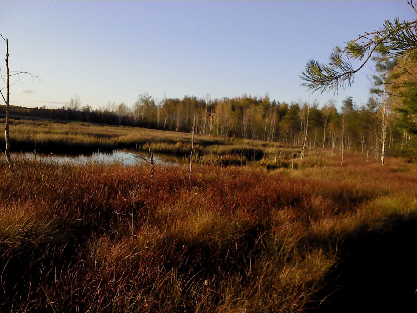 DSC00091.JPG