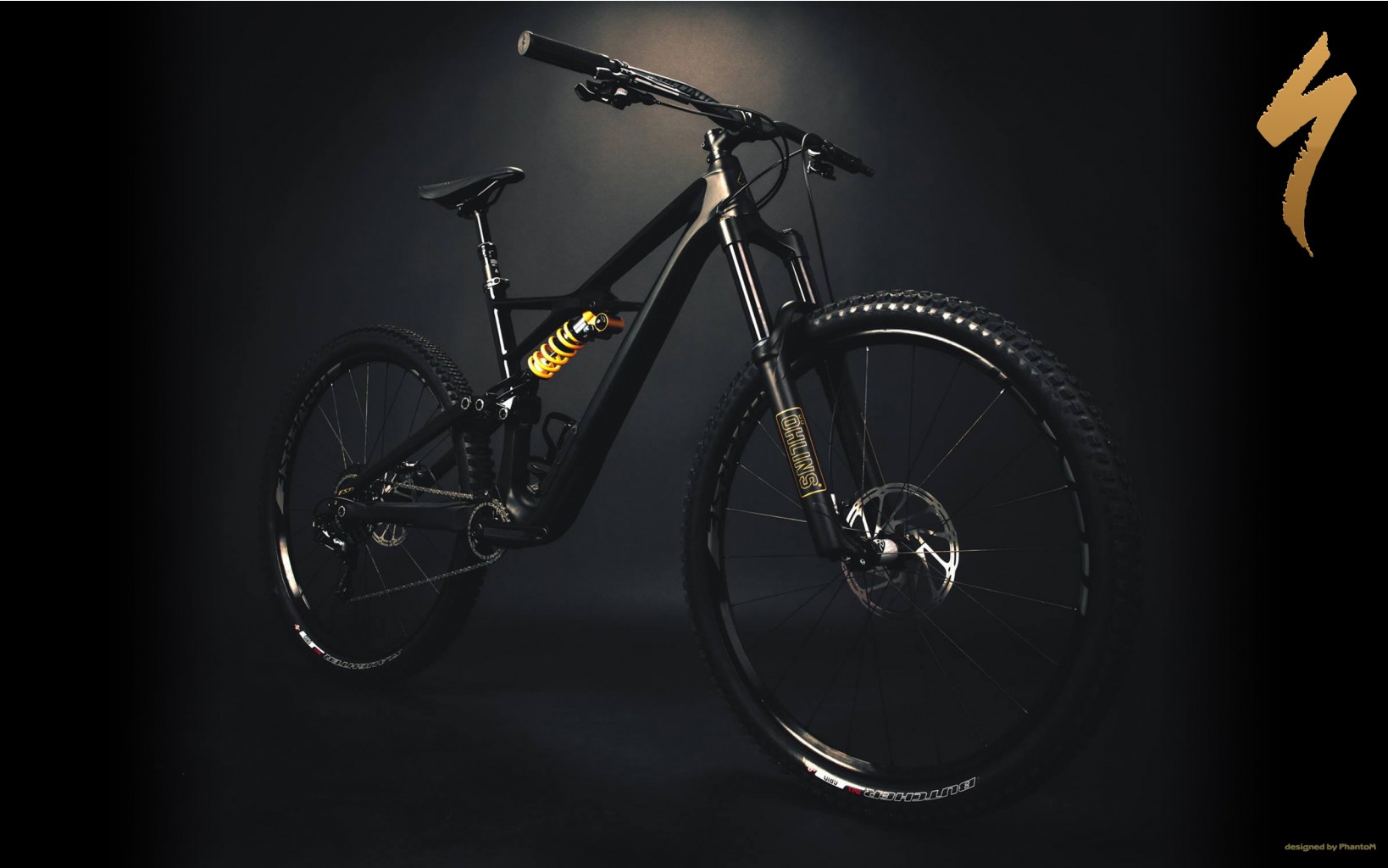 Specialized Enduro COLI 2017.jpg