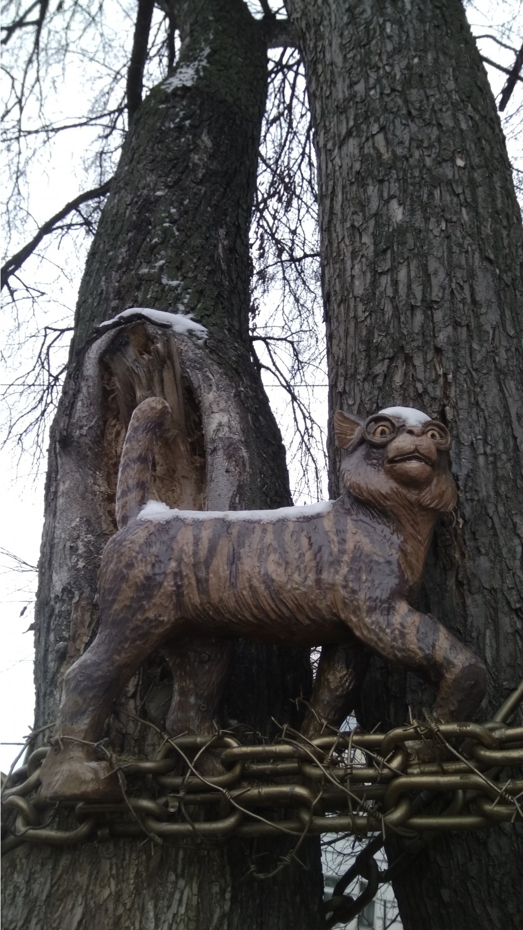 IMG 20171105 101134.jpg