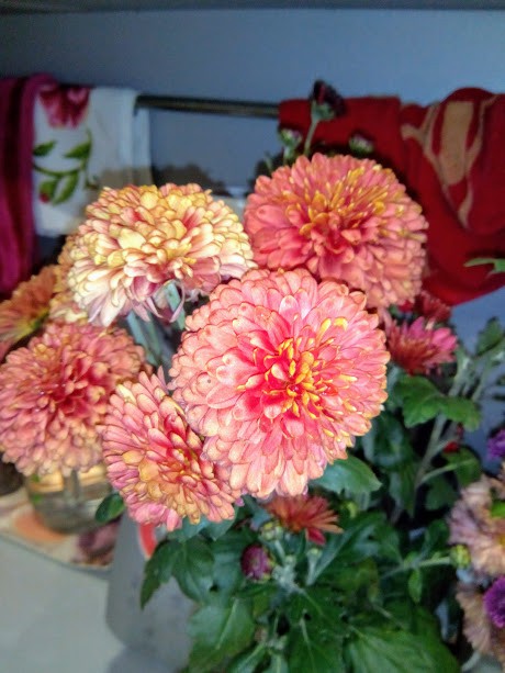 IMG 20171021 200247.jpg