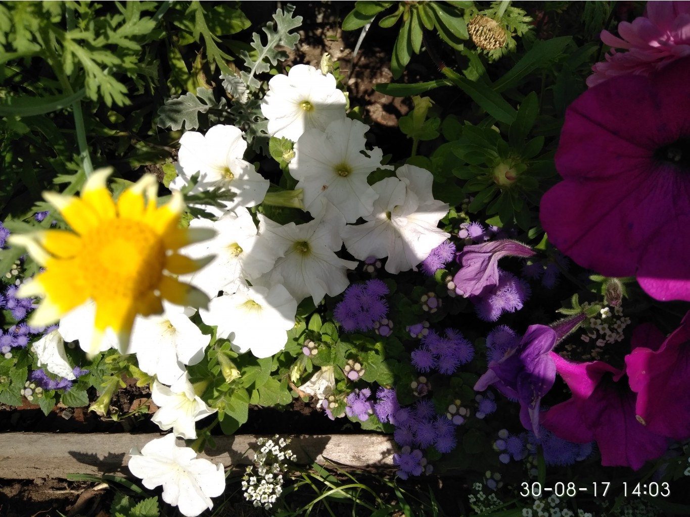 IMG 20170830 140320.jpg