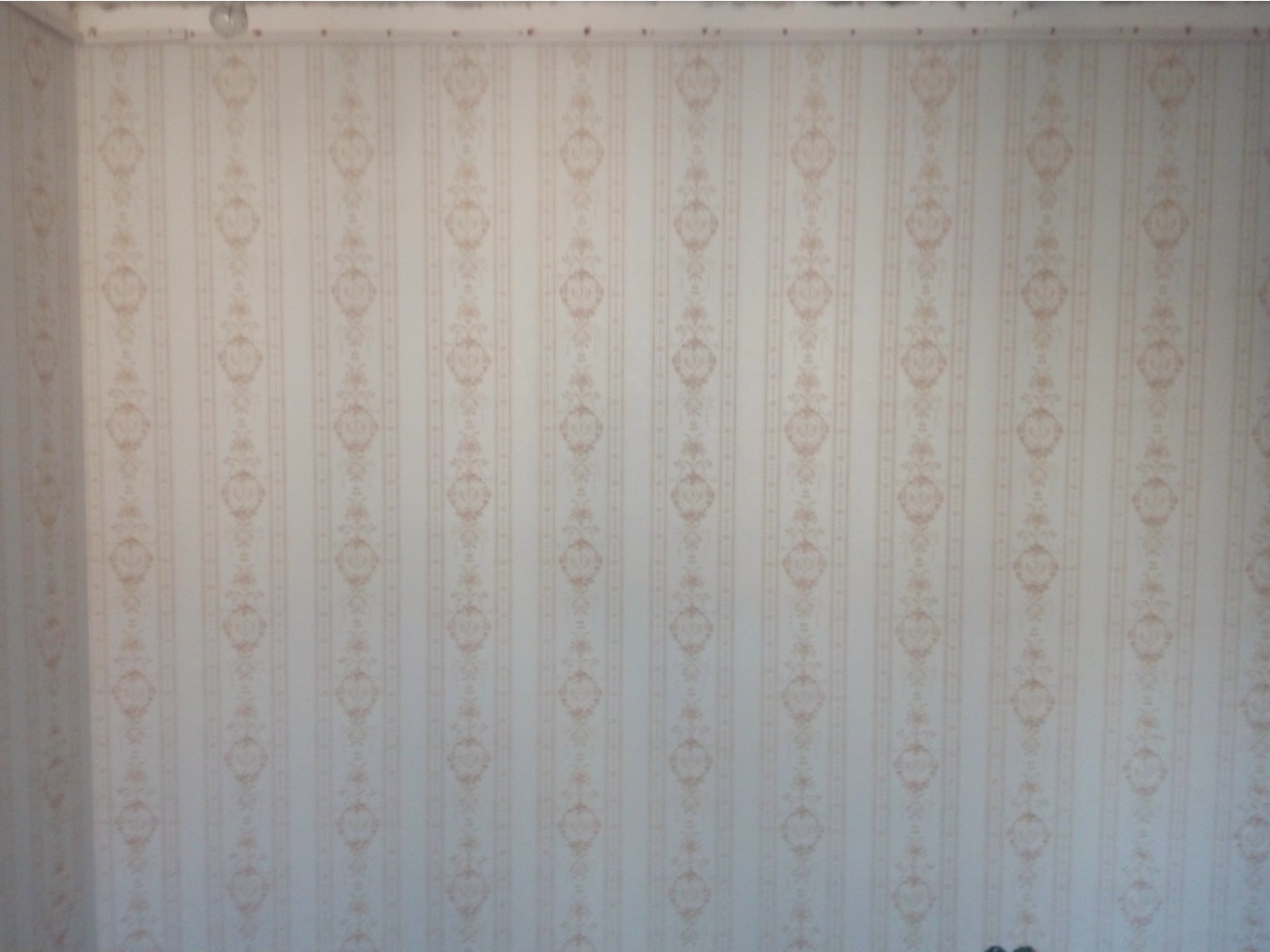 P70803-204901.jpg