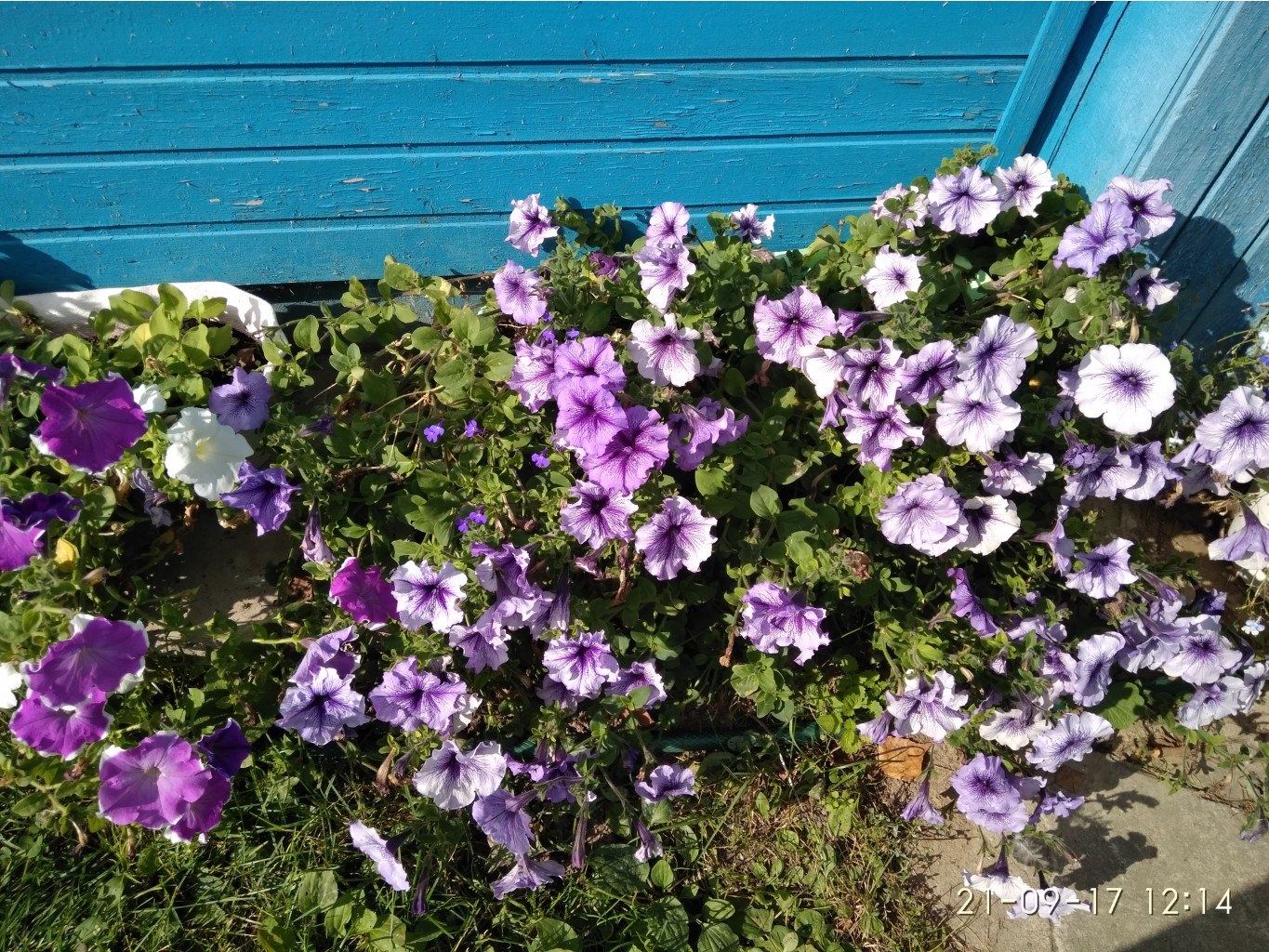 IMG 20170921 121437.jpg