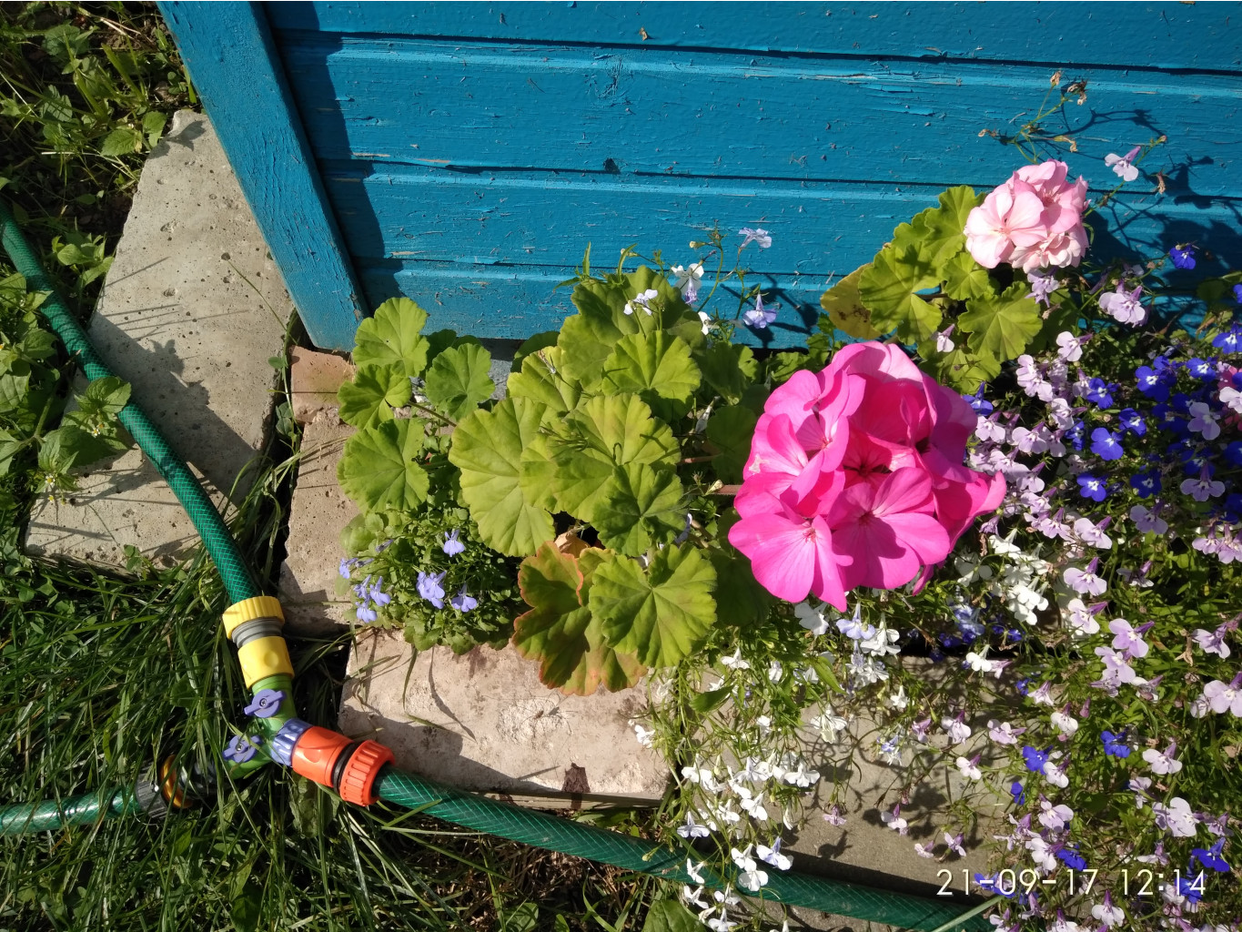 IMG 20170921 121419.jpg