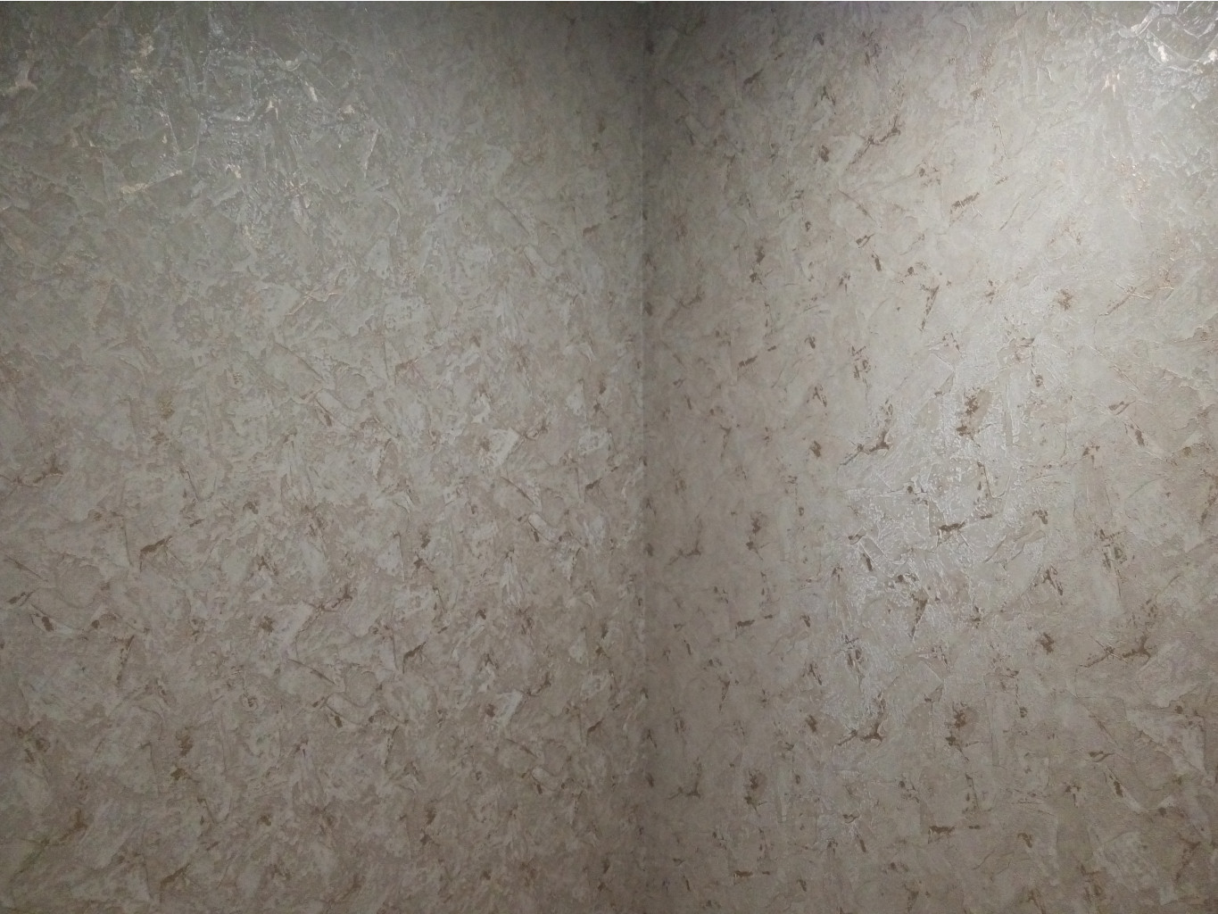 P61210-174801.jpg