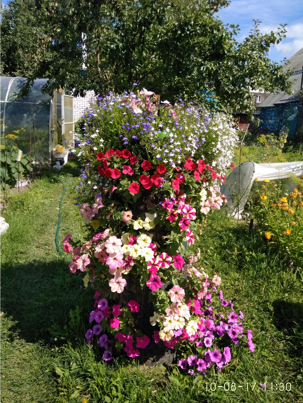 IMG 20170810 113036.jpg