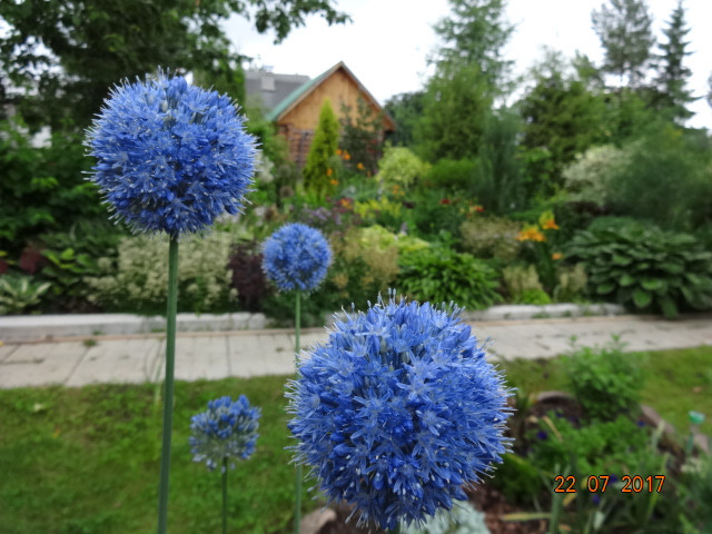 DSC03743.JPG