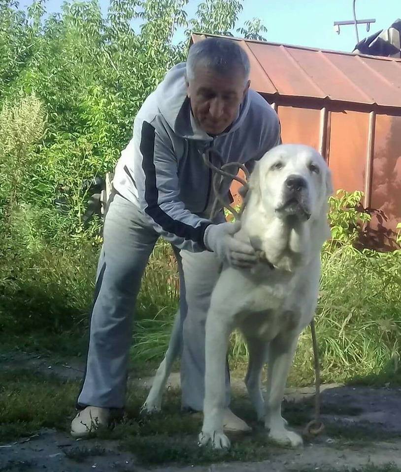 24059266 1578143868936501 4099743247634936267 n.jpg