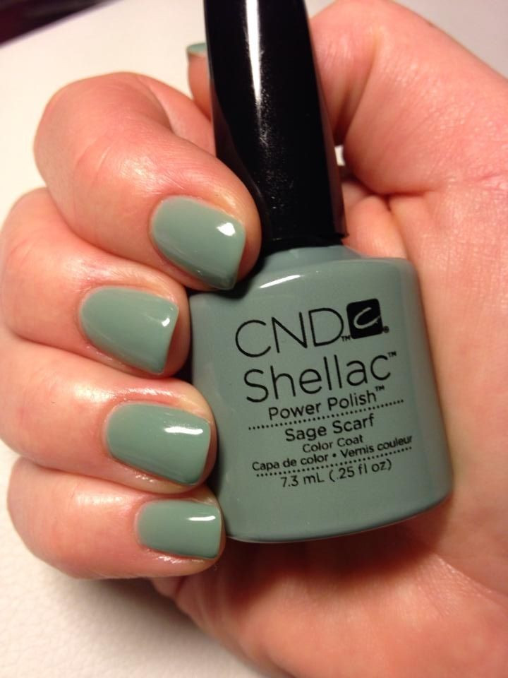 Shellac CeNDy.jpg