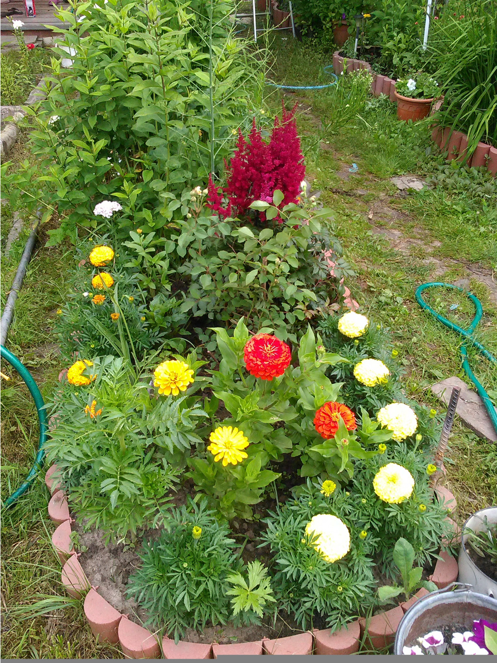IMG 20160701 075101 1.jpg