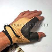     .   363 .  395 .   595 . .jpg