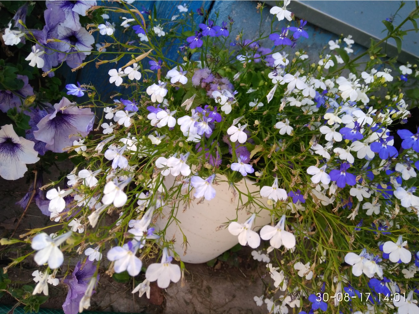 IMG 20170830 140101.jpg