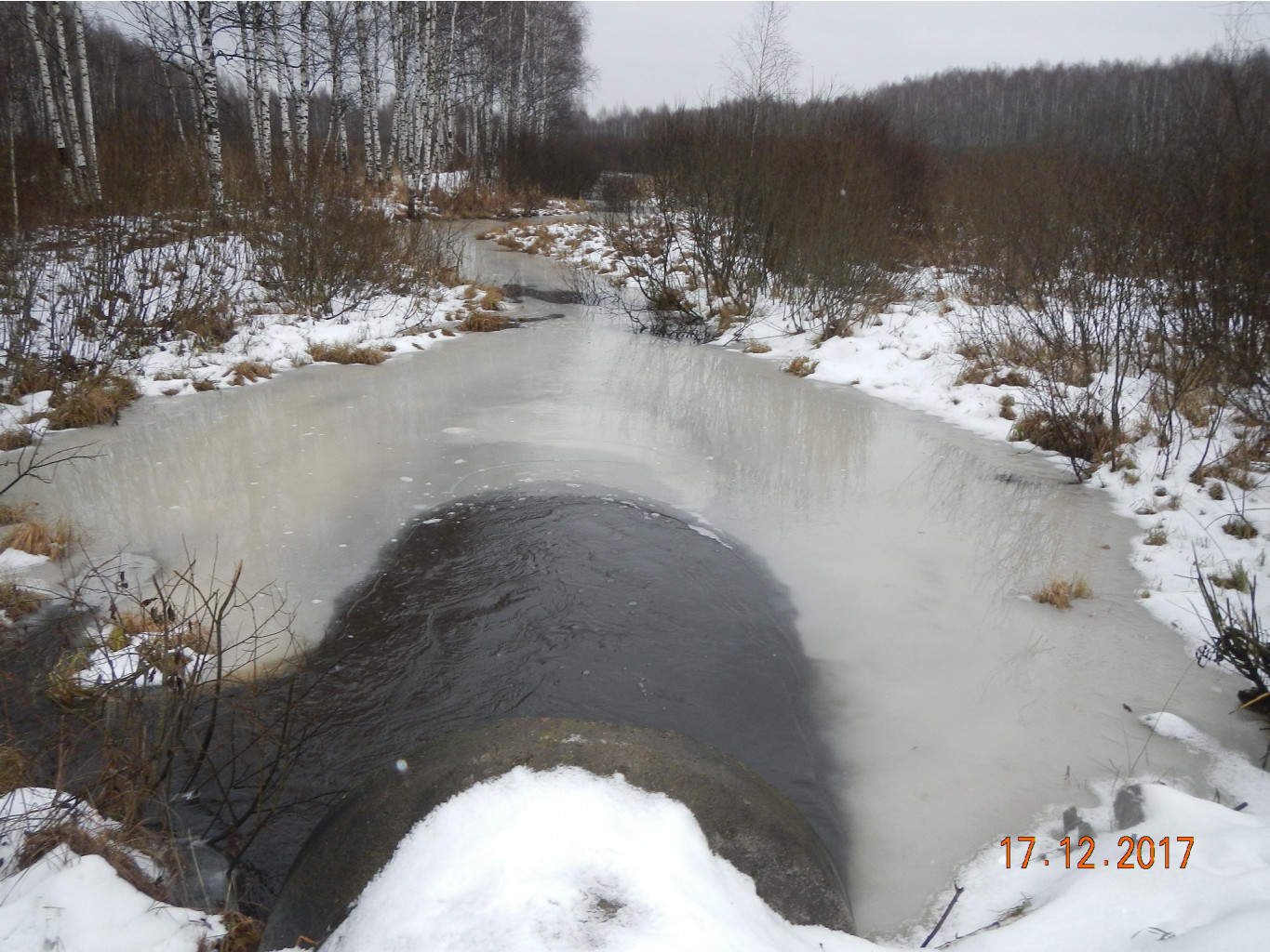 DSCN3141.JPG