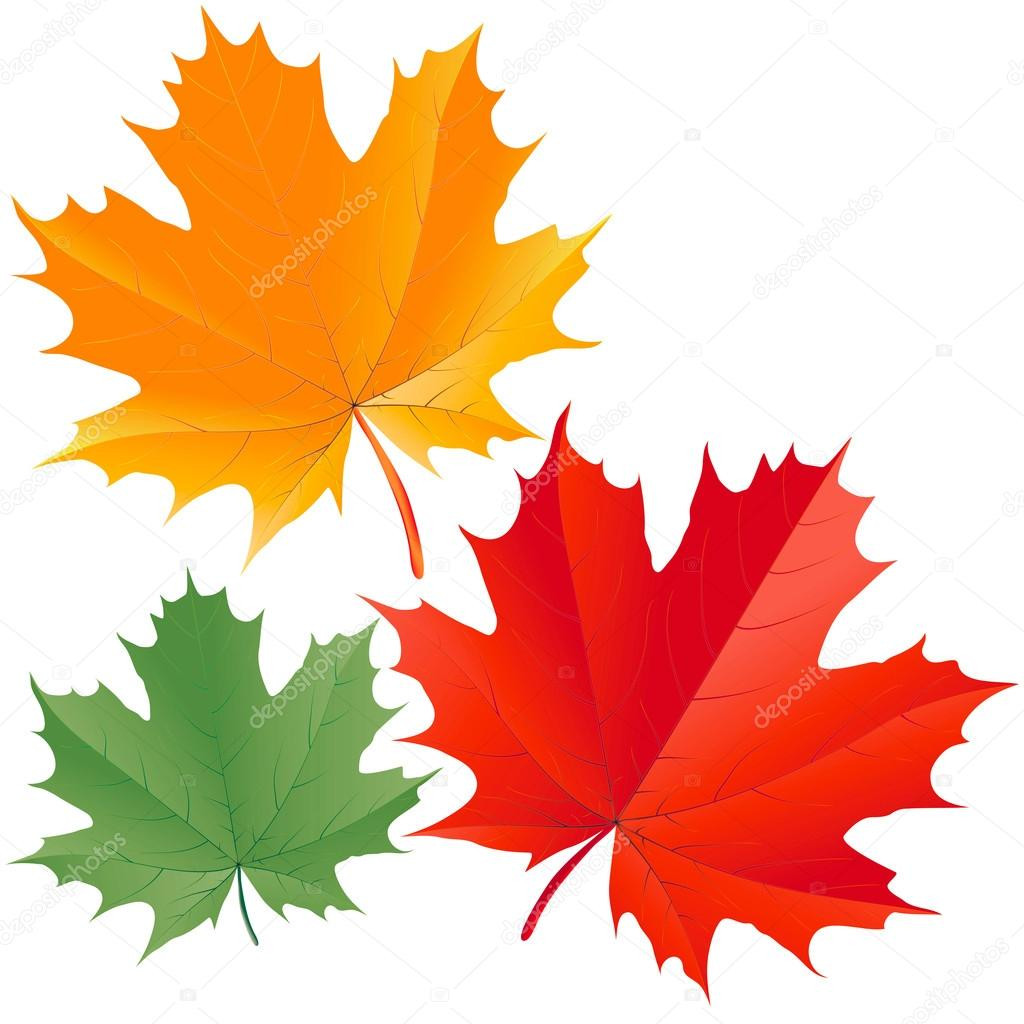 Depositphotos 4179785-stock-illustration-colorful-maple-leaves.jpg