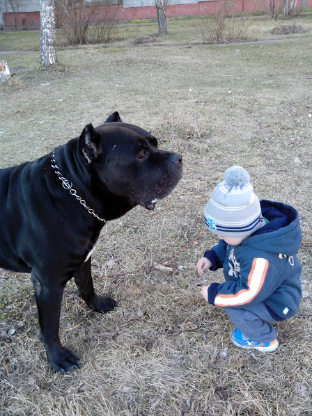 IMG 20160412 172227.jpg