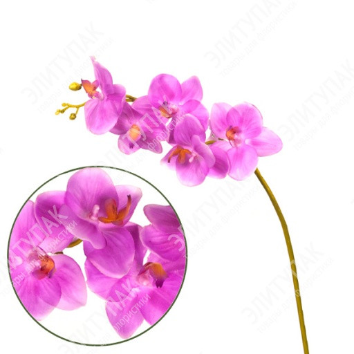   NATURAL TOUCH 40  1  () 209 147.jpg