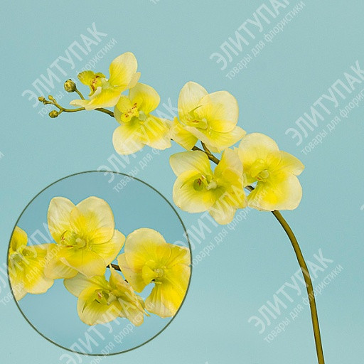   NATURAL TOUCH 40  1  (֣) 209 147.jpg