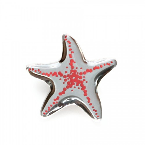  Asteriidae /