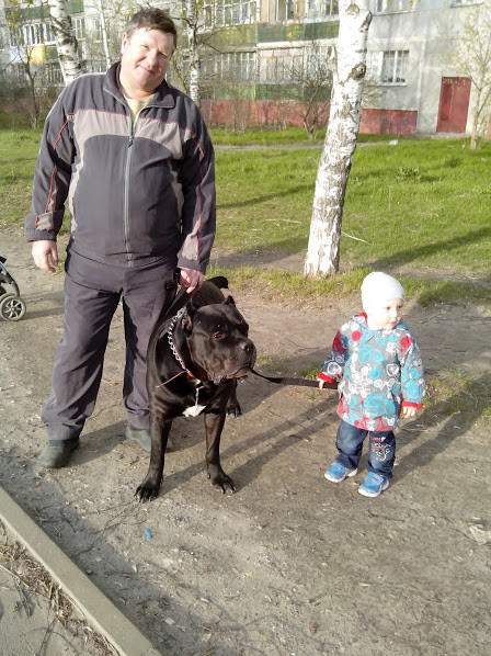 IMG 20160426 174720.jpg