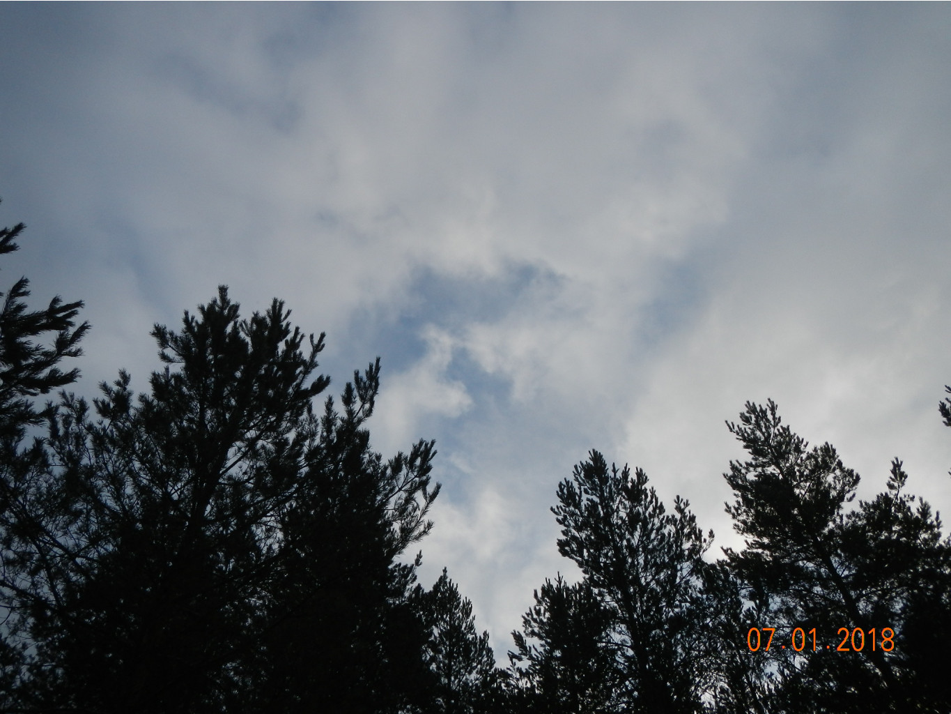 DSCN3399.JPG