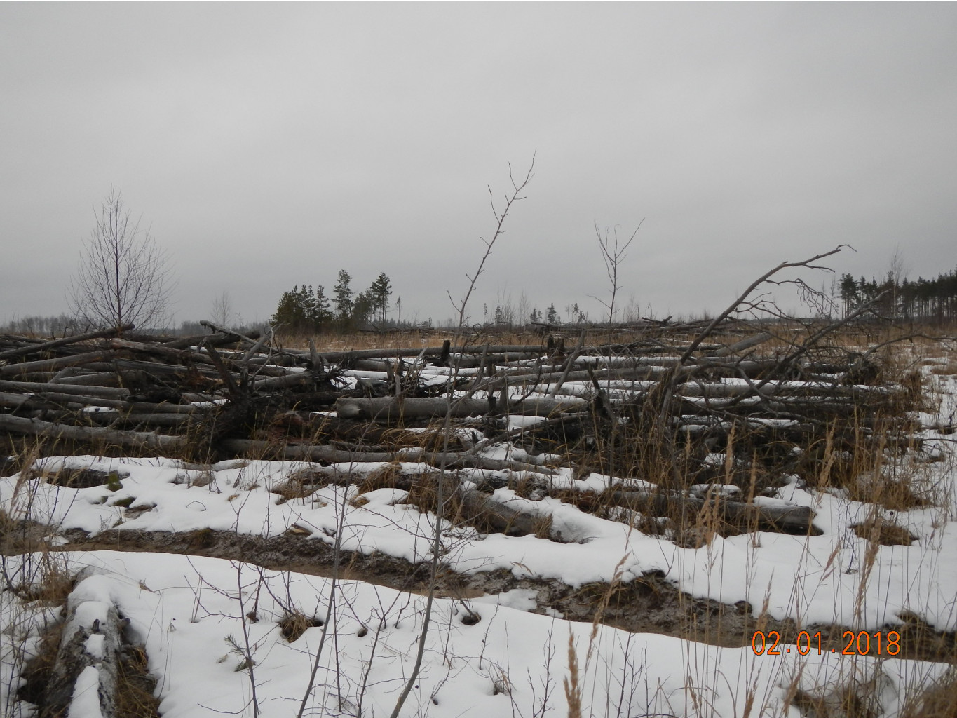 DSCN3237.JPG