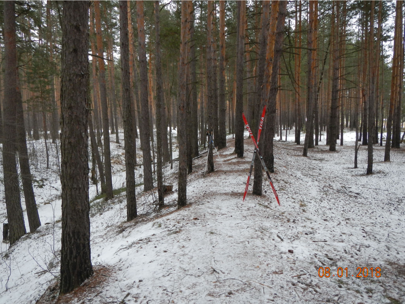 DSCN3447.JPG