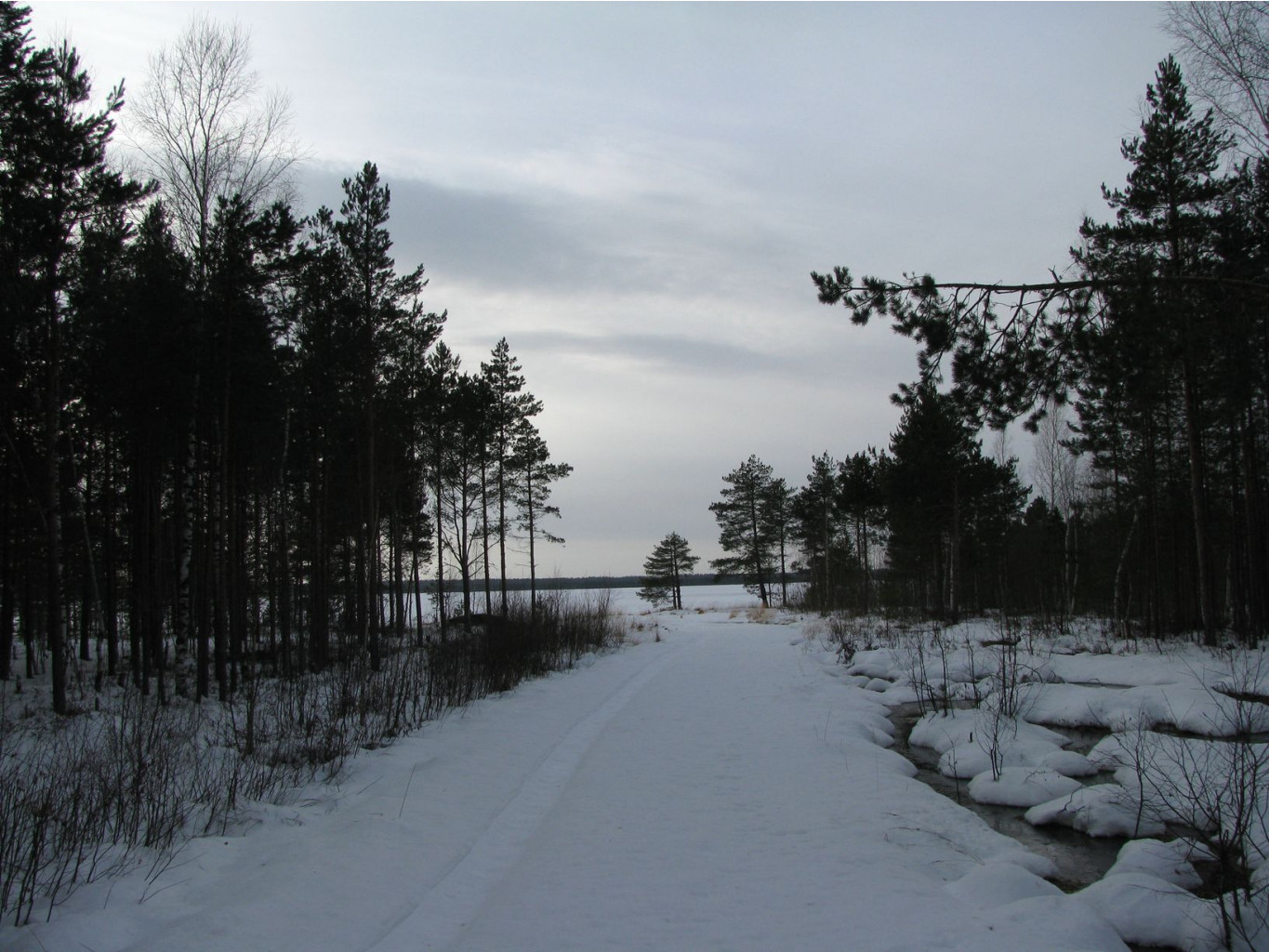 IMG 8197.jpg