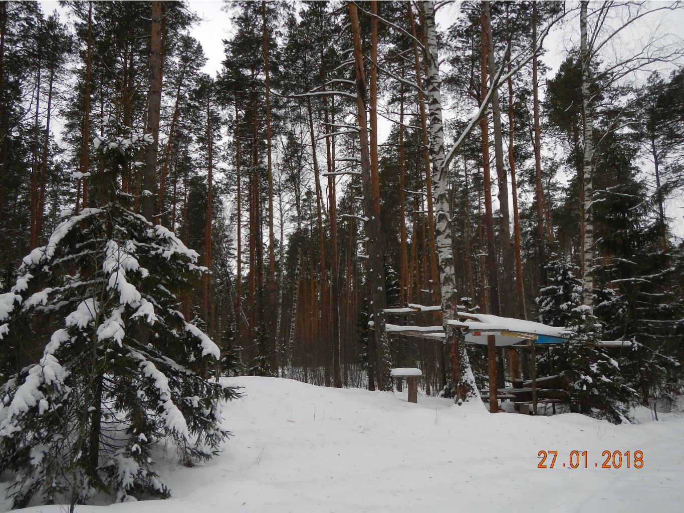 DSCN3496.JPG