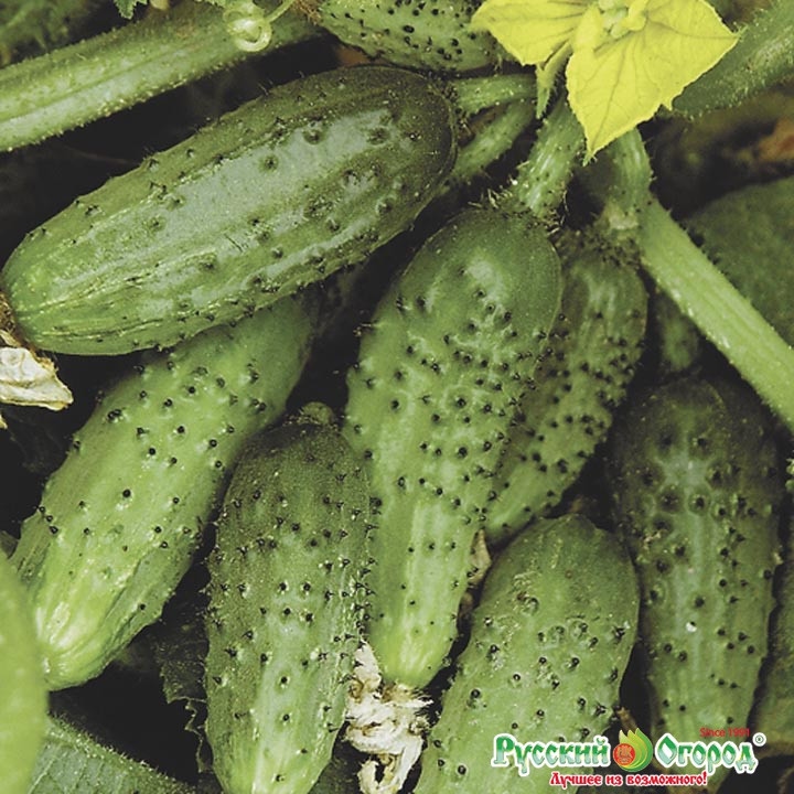   9,40 . (1 .) . .  .jpeg