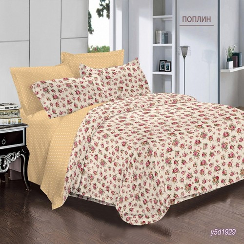 Y5d1929-500x500.jpg