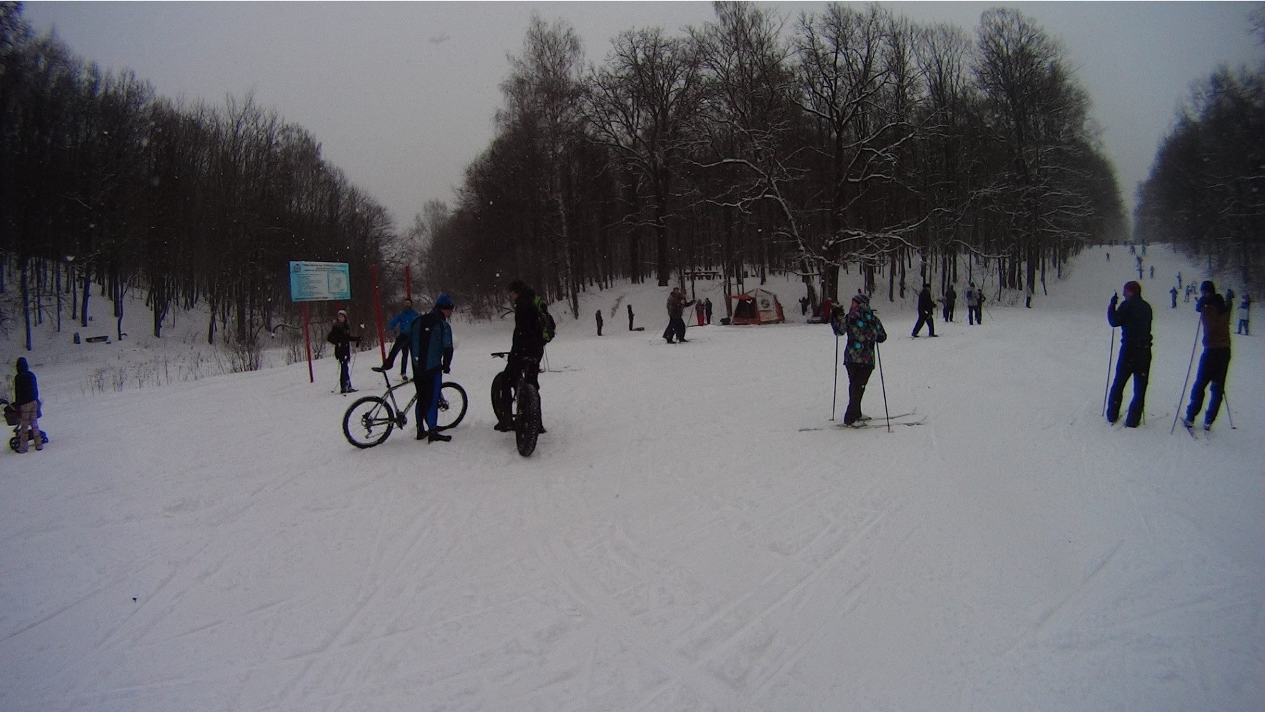 DSC07736.JPG
