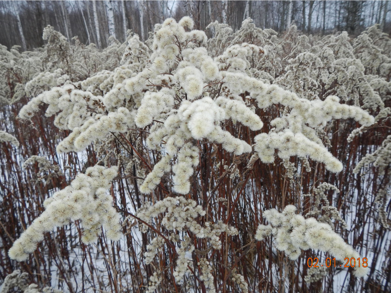 DSCN3259.JPG