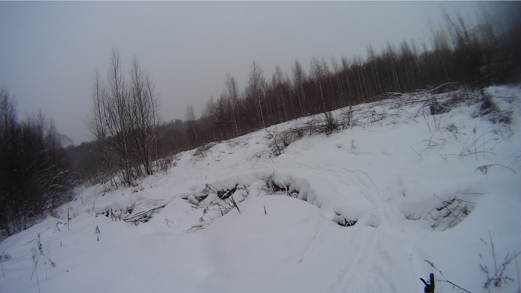 DSC08054.JPG