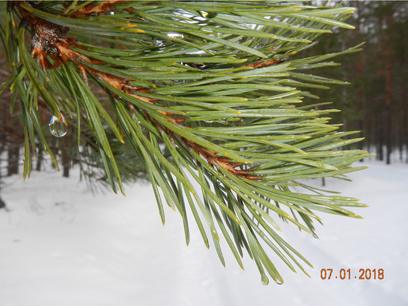 DSCN3405.JPG