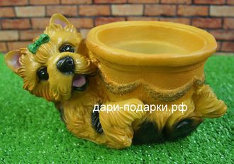 11074     . 304+%.jpg