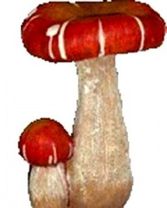 12110     №2. 258+%.jpeg