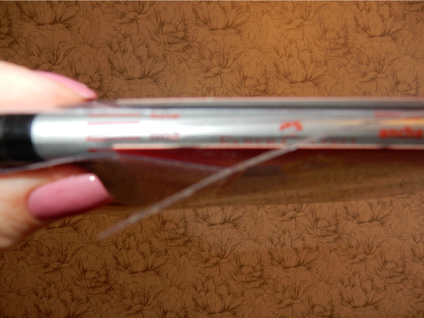 DSCN4358.JPG