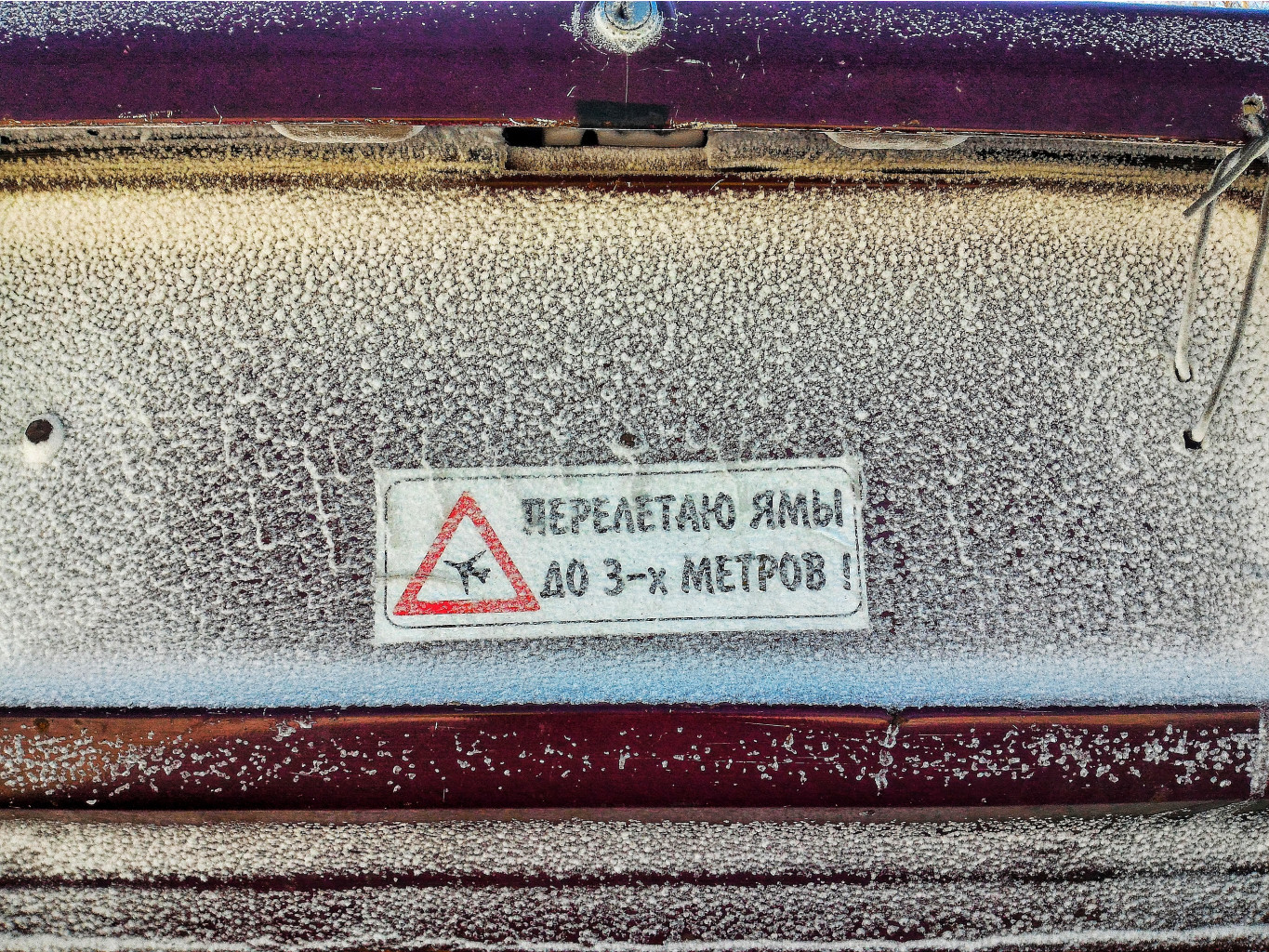P 20180223 122548-01.jpeg