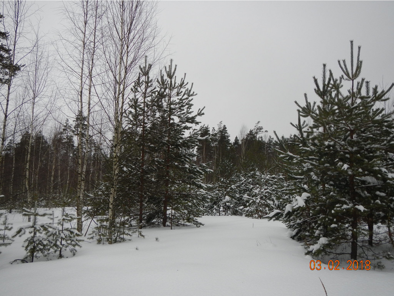 DSCN3525.JPG