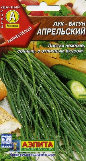лук-батун апрельский