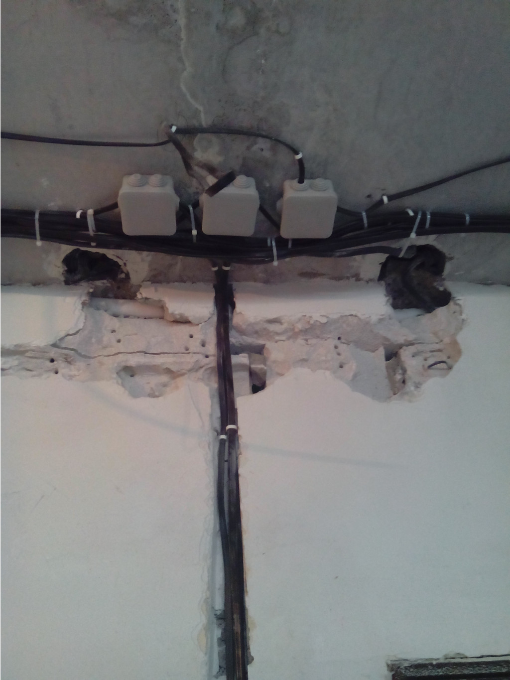 IMG 20150818 150602.jpg