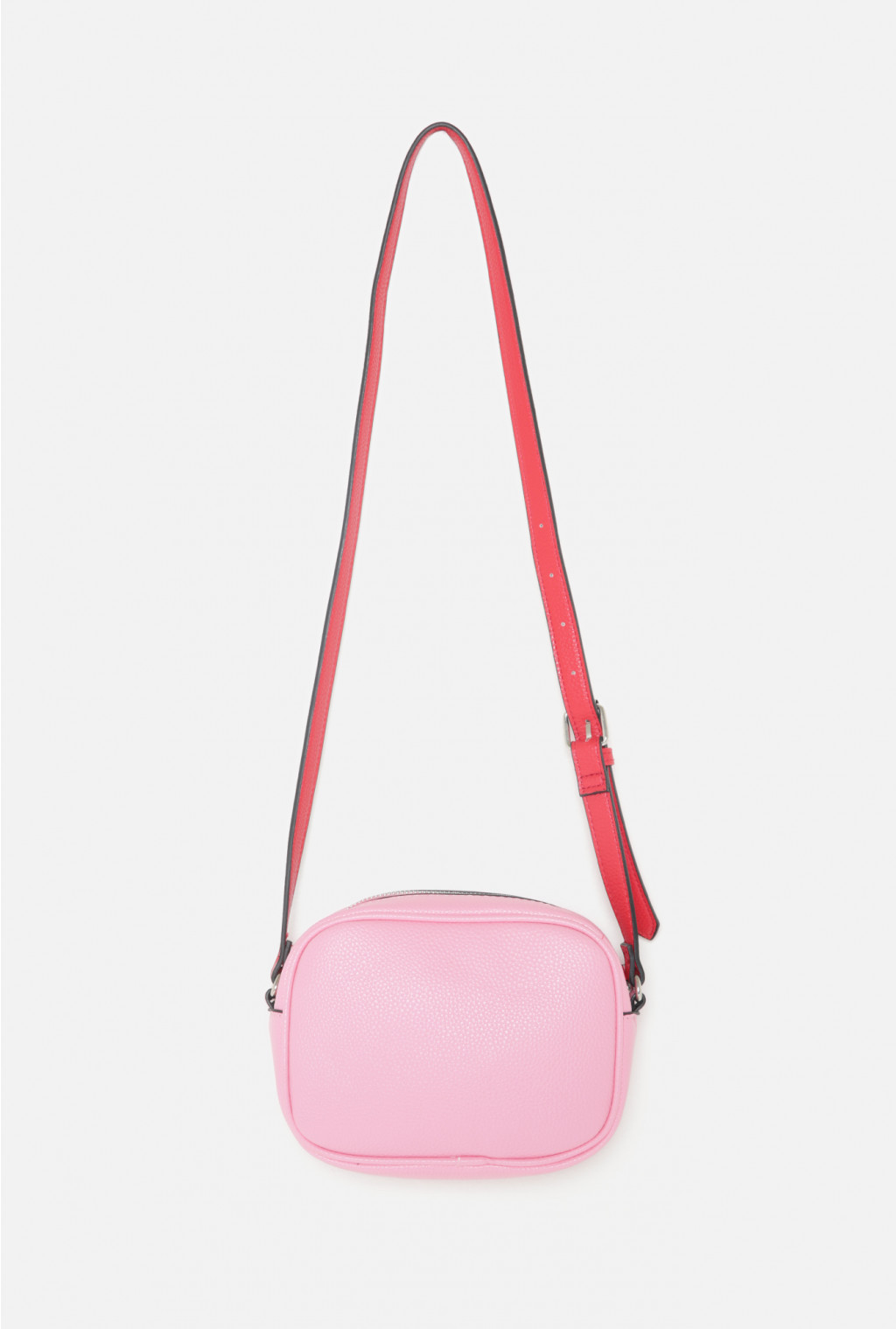 20206100061   Lupine          (    ).jpg